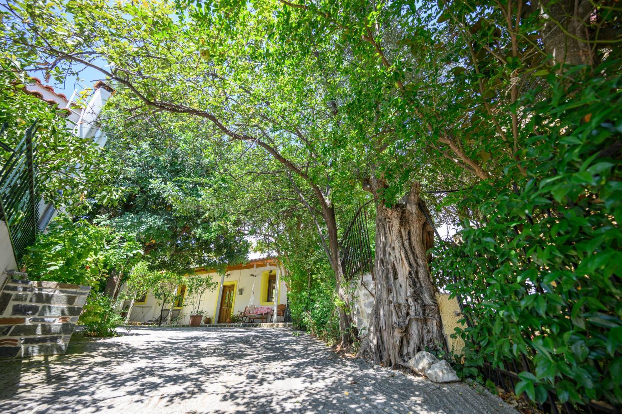 Small Villa Gerani Agios Vlasios  외부 사진